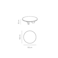 Earth Coffee Table